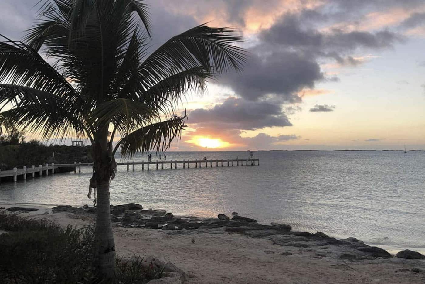 water-palm-trees-sunset